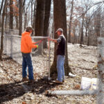 krepps park new fencing